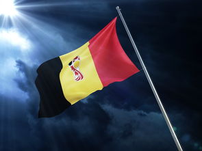 排球赛场焦点!英格兰队对阵俄罗斯队,强强对话引爆全球球迷关注